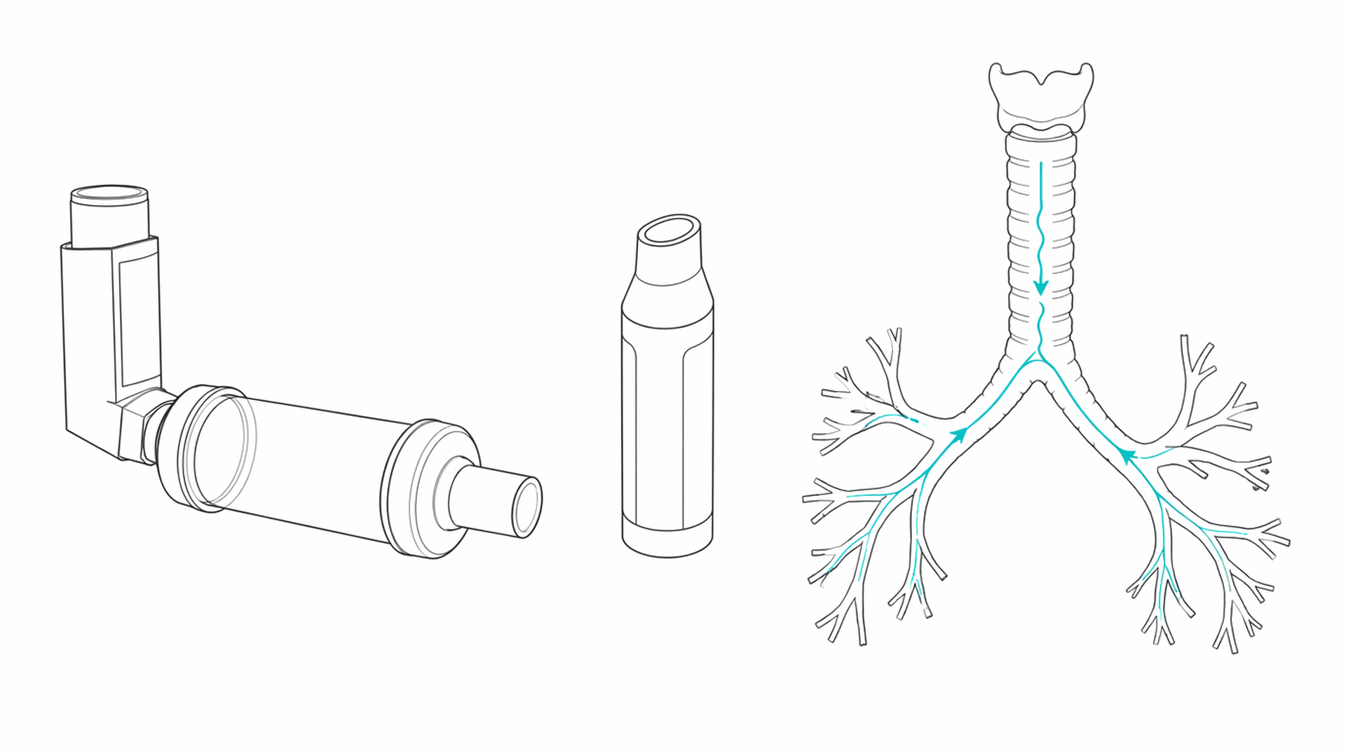 Medical line illustration of asthma inhaler biologic for Inhaler technique review.