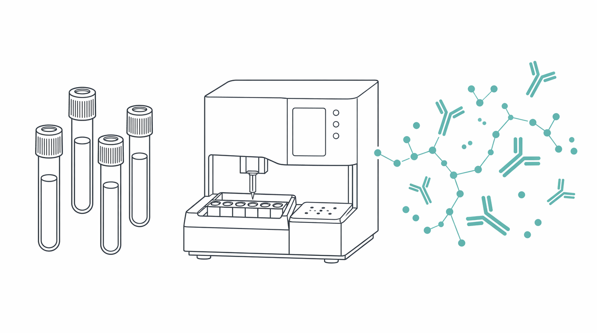 Medical line illustration of autoimmune antibody blood testing for Complement testing.