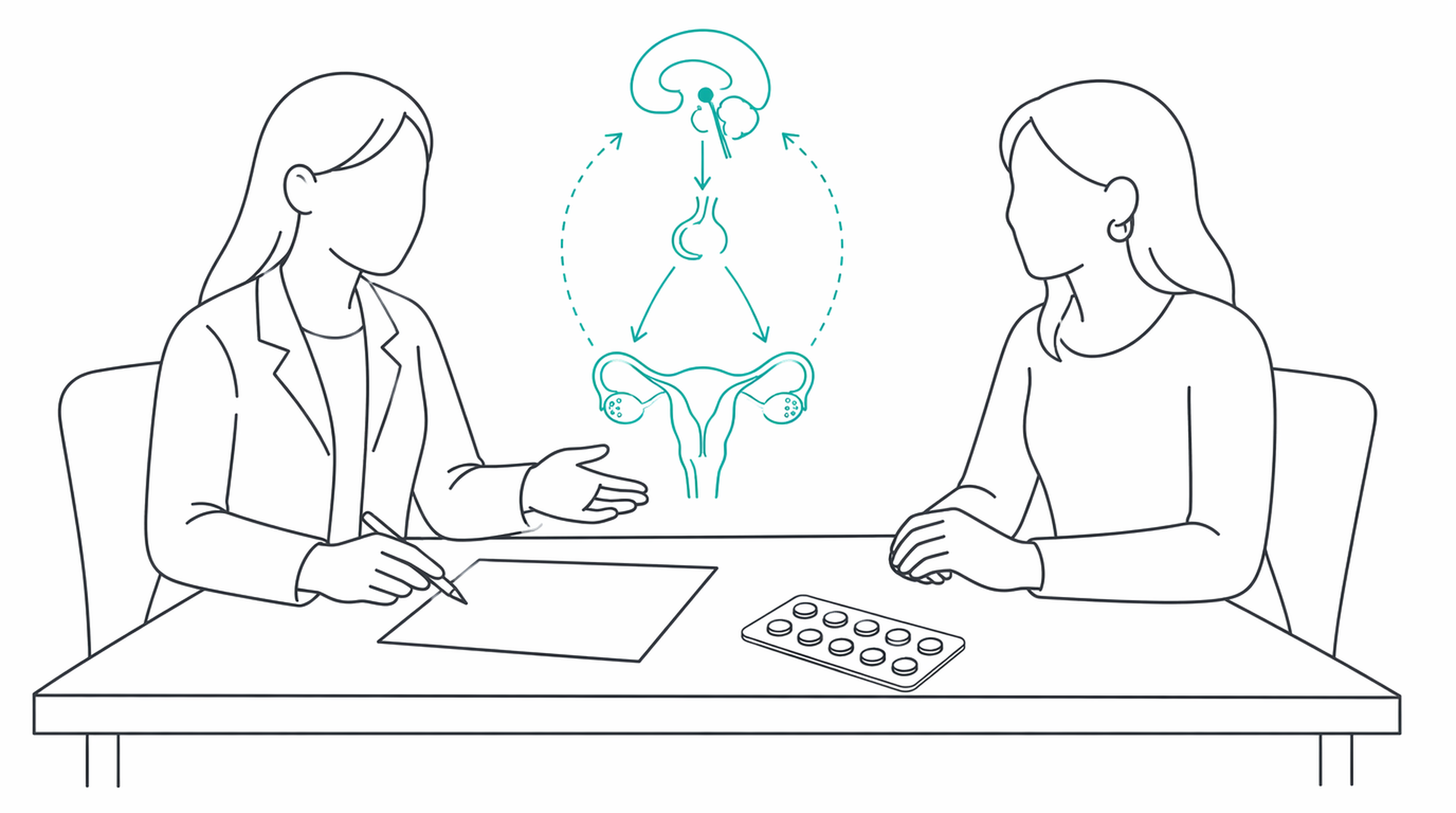 Medical line illustration of menopause hrt consultation for Menopause and HRT advice.