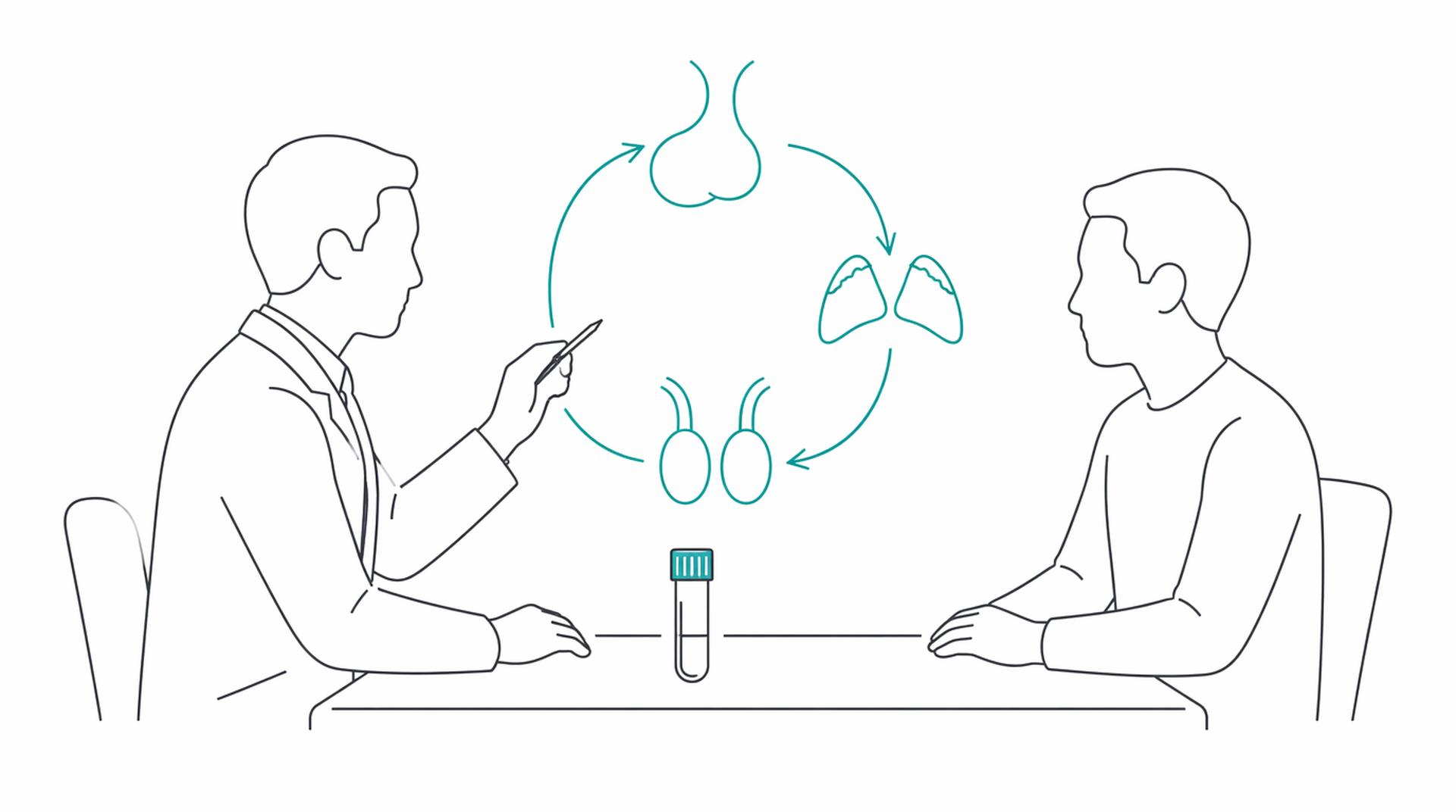 Medical line illustration of testosterone hormone assessment for Testosterone deficiency assessment.